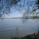 Das lauschige Strandbad Salmsach