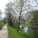 Auf einem angenehmen Weg wandere ich der Glatt entlang.