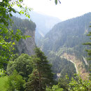 Auf der andern Seite sehe ich weit hinunter in die Rheinschlucht. Etwa entlang der Bergkante links im Bild werde ich wandern.I