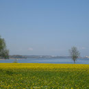 Vom Seepark Arbon sieht man bis nach Romanshorn.