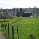 Von Hemmerswil, einem Dorfteil im Osten von Amriswil, führt der Wanderweg in die Höhe - hier bin ich bisher noch nie gewandert...