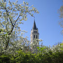 Die katholische Kirche Romanshorn.