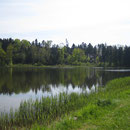 Der Weiher beim Weiler Emerzen.