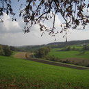 Heute, am 15. Tag, wandere ich zwischen dem Furtbachtal und dem Thurtal. Hier der Blick über das Furtbachtal.