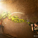 Photo : Mathieu Le Gall - Wen2 (FR)