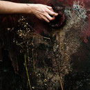 Photo : Ti Adam - Antoine Twan Stevens (FR)