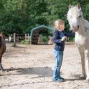 Popcorn findet streichelnde Kinderhände großartig!