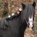 Wenn das keine hübsche Mini-Tinker-Dame ist! Pretty Clairchen!