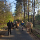 Kletterausflug - wir führen unsere Ponys durch den Wald