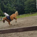 Unsere Ponies sind immer, wirklich immer, gelassen und entspannt ;-)!!