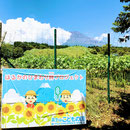 富士山こどもの国