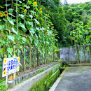 四万十市立蕨岡中学校