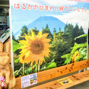 富士山こどもの国