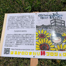 新潟市「いくとぴあ 食花」苗付けイベント