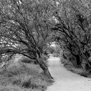 Spanien, Navarra, Jakobsweg