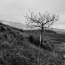 Spanien, Navarra, Jakobsweg