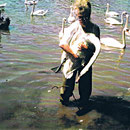 Carmen holt Schwan aus dem Wasser mit Angelhaken und Schnur, die Schnur ist um einen Ast gewickelt.