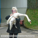 2-29 Schwan auf dem Weg zum Tierarzt