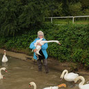  Carmen fängt Schwan ein um einen Angelhaken aus seinem Schnabel zu entfernen.