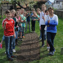 legen ein Energiebeet an.