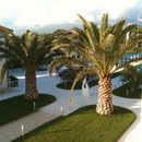 Bagno Brunella e Ada beach - Case Vacanza