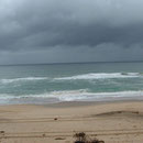 Red Cliffs, Brisbane, aan de South Pacific oceaan
