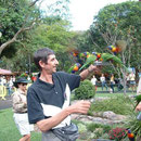 Het "Build life park" in Tweed Heads