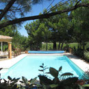 Piscine et vue sur les vignes 