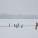 L'atelier du Hanneton, paysage d'hiver©éric Maulavé