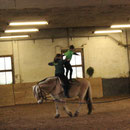 Volti Maxie und Milan
