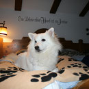 02.01.2015 Ankunft im Oberammergau (Lexi)