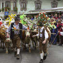 Almabtrieb