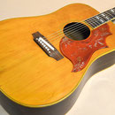 1968ギブソンハミングバード（価格交渉可） 1968ギブソンハミングバード（価格交渉可） Gibson