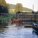 "Milchkühlsystem" in der Messerschmidmühle.