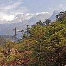 © Christoph Haas / Makalu 2010; Unterwegs durch den "Märchenwald" immer am Barun entlang.