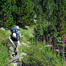 ... so wie hier auf etwas über 2000 m.