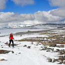 Auf den ersten Metern hinter der Hütte hat der stürmische Wind den Schnee ziemlich verblasen - aber irgendwie findet sich immer eine gut begehbare Spur.