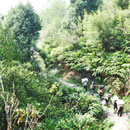 © Christoph Haas / Makalu 2010; Auf dem Weg nach Tashigaon.