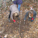 Grabungsexperiment im Papenholz