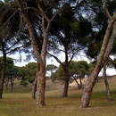 Casa de Campo