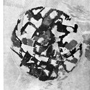 Circles, 1955 : Photo courtesy of Maximilian Koskull