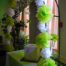 mariage vert anis, blanc et vert - les papillons