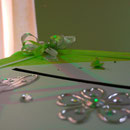 mariage vert anis, blanc et vert - les papillons