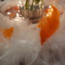 Sur le pont des arts - MAriage Blanc Orange et Marron