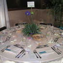 Mariage Bambou - vert  et violet