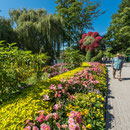 Insel Mainau