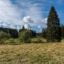 Autal - Manebach bei Ilmenau