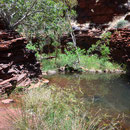 Karijini Nationalpark