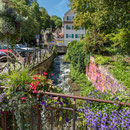 Tübingen - blühender Kanal