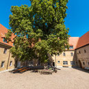 Kloster Memleben